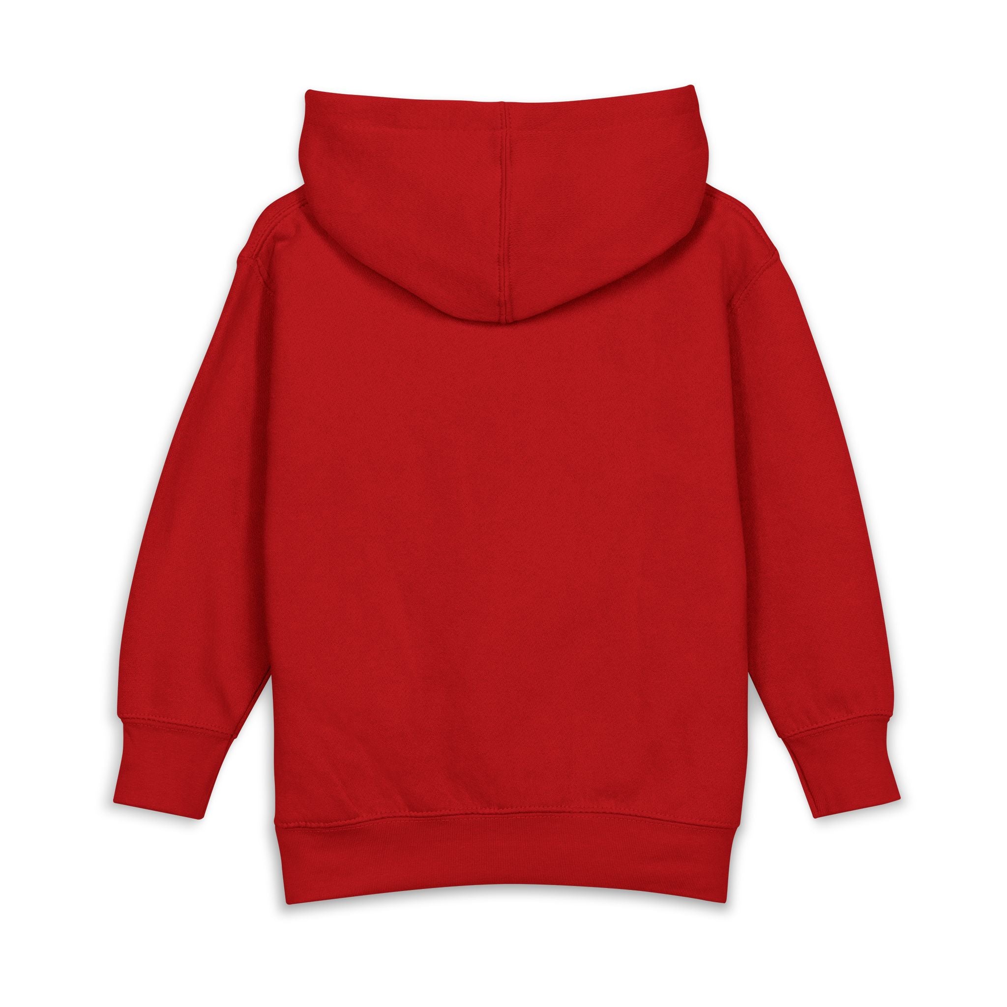 All aboard ark toddler hoodie | cute illustration pullover