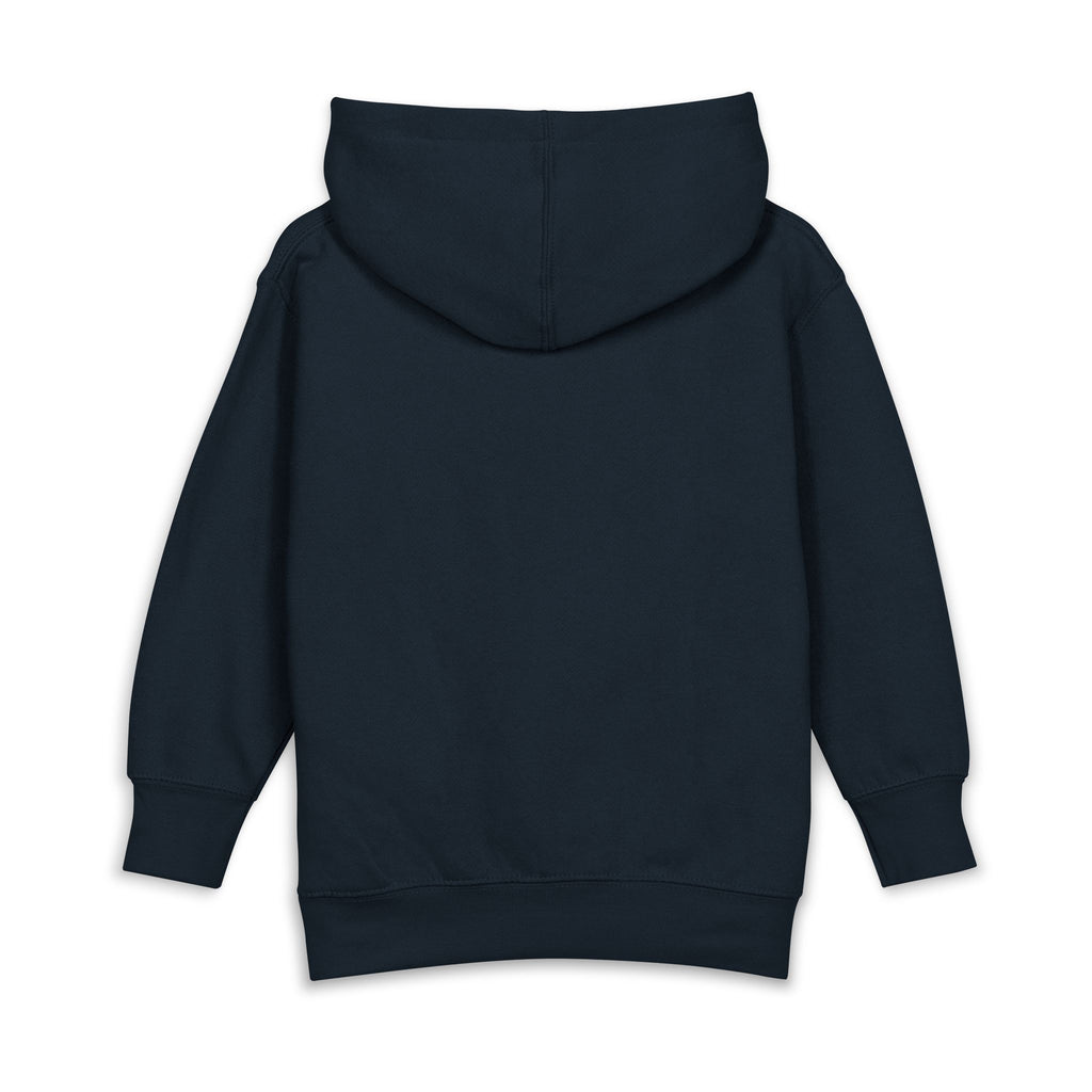 Noah's ark toddler hoodie | cute illustration pullover