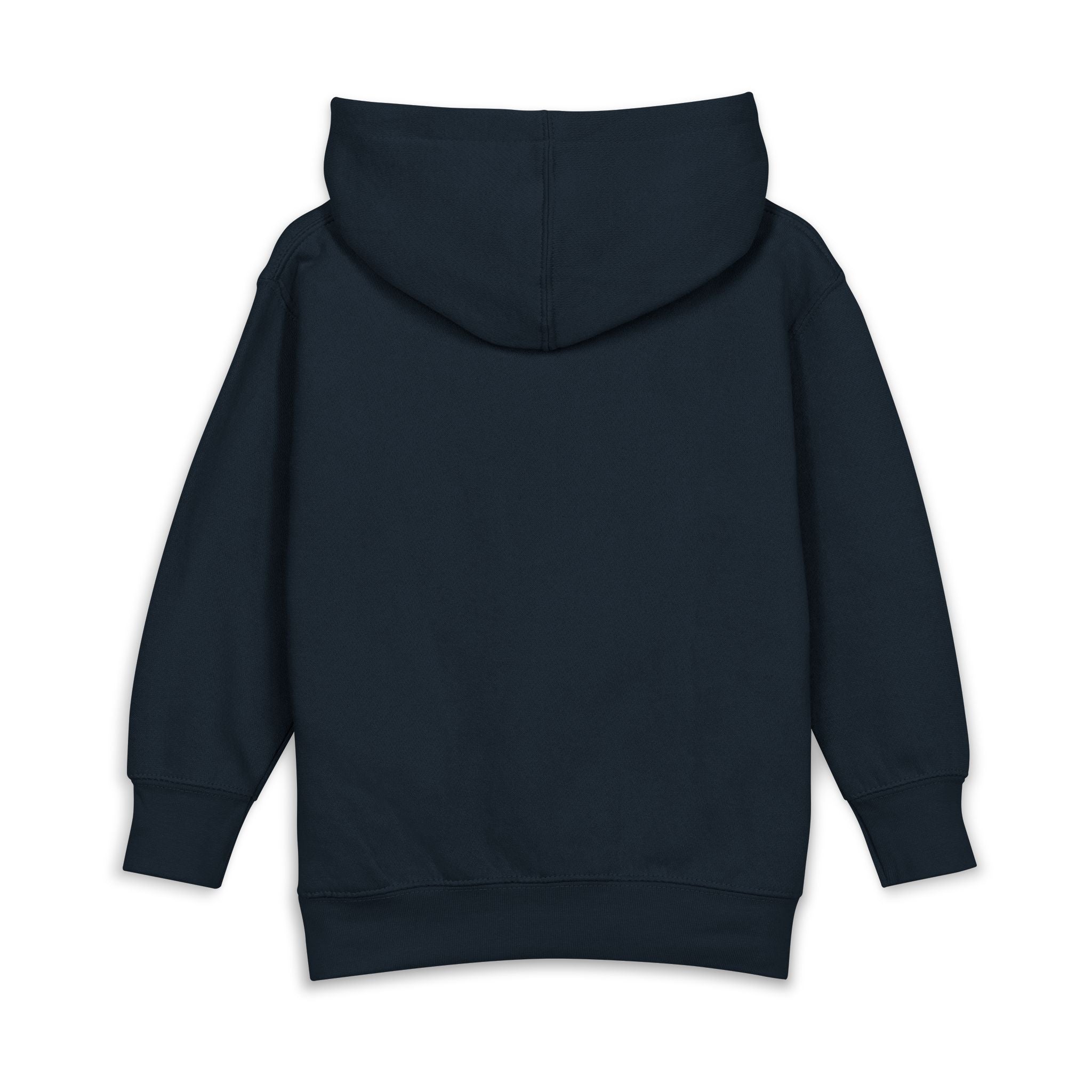 All aboard ark toddler hoodie | cute illustration pullover