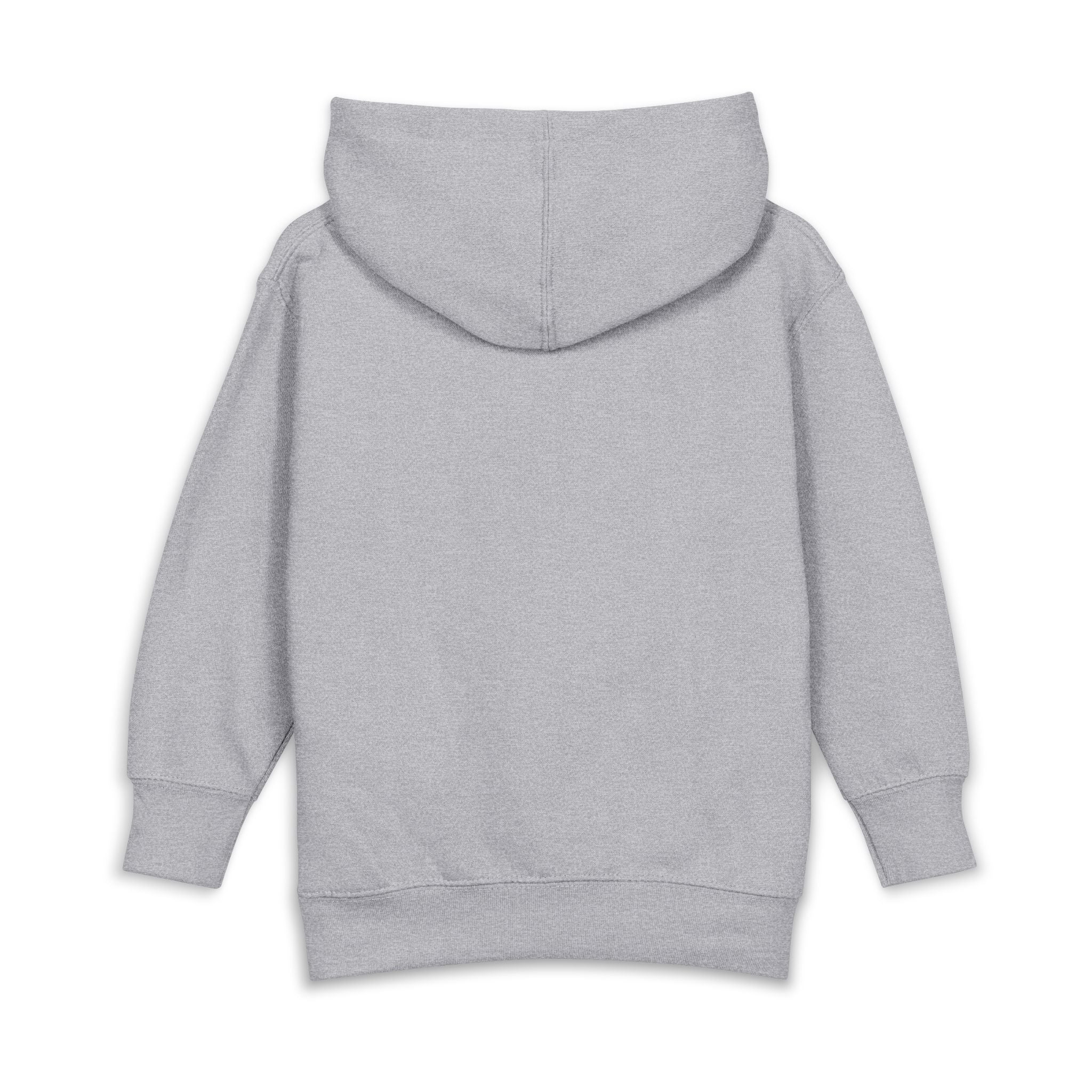 Noah's ark toddler hoodie | cute illustration pullover