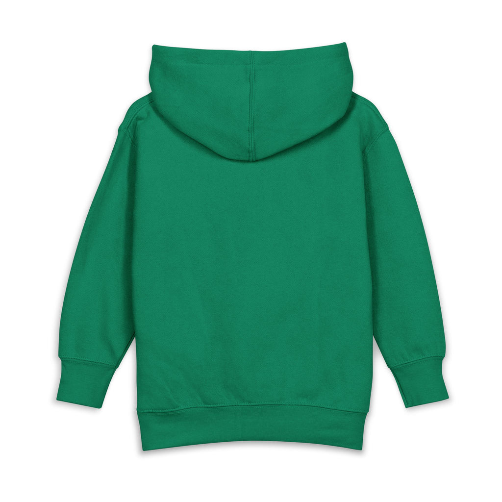 Noah's ark toddler hoodie | cute illustration pullover