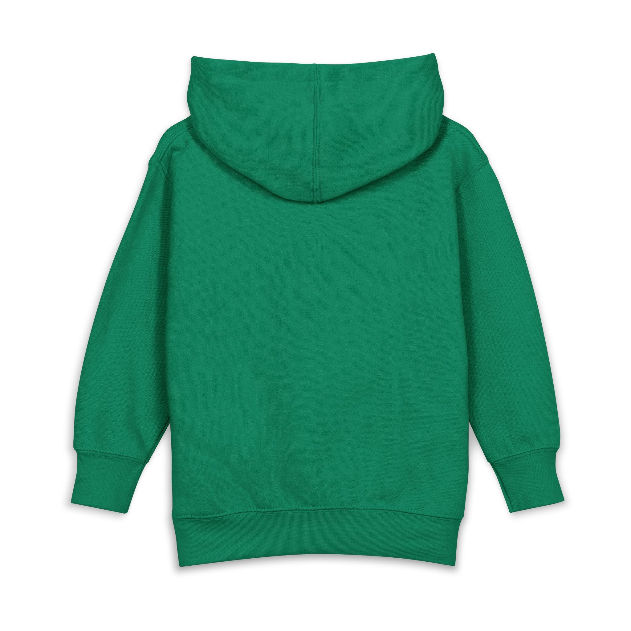 Noah's ark toddler hoodie | cute illustration pullover
