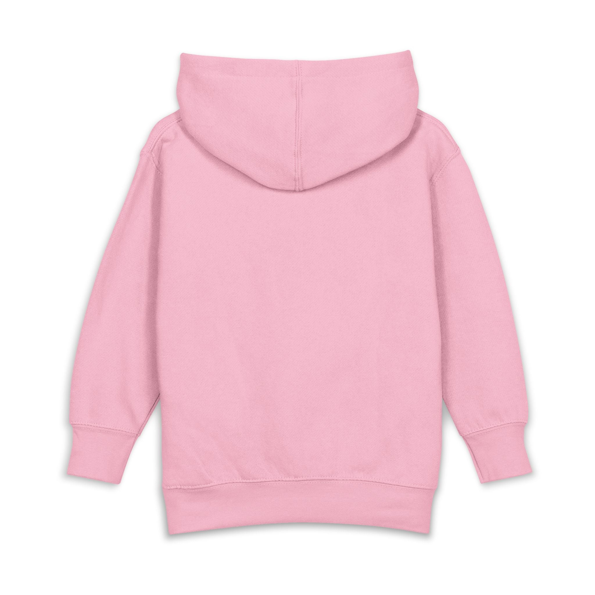 All aboard ark toddler hoodie | cute illustration pullover
