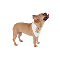 Pet Bandana — "Blessed and Loved" Cute Puppy Dog Bandana